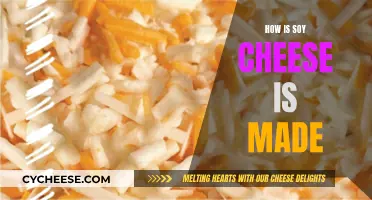 Soy Cheese: The Making Process Explained