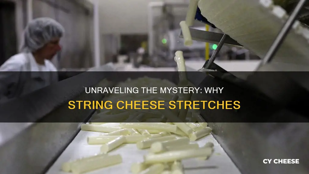 how is string cheese made stringy