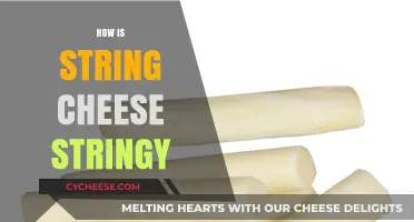 Why String Cheese Stretches: The Science Behind Its Stringy Texture
