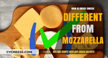 Swiss Cheese vs Mozzarella: A Hole-y Difference