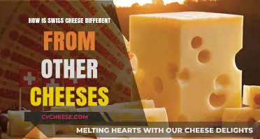 Swiss Cheese: What Sets It Apart?