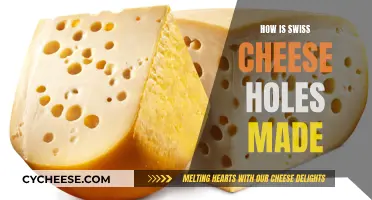 The Mystery of Swiss Cheese Holes Explained