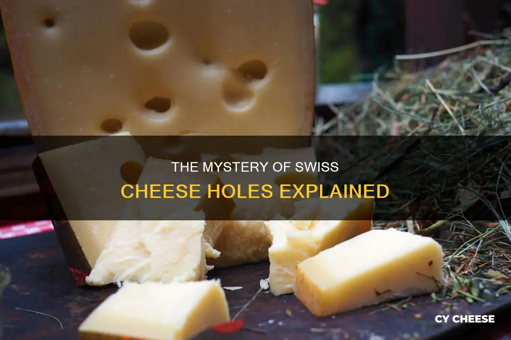 how is swiss cheese holes made