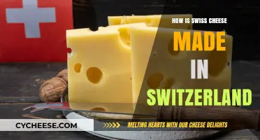 The Art of Swiss Cheese: A Journey from Cow to Cheddar