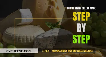 The Art of Swiss Cheese: Step-by-Step Guide