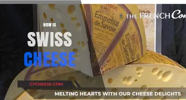 Swiss Cheese: A Hole Lot of Flavor