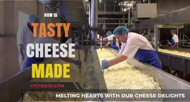 Crafting Delicious Cheese: A Tasty Journey Unveiled