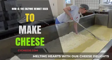 Rennet's Role: The Science of Cheesemaking