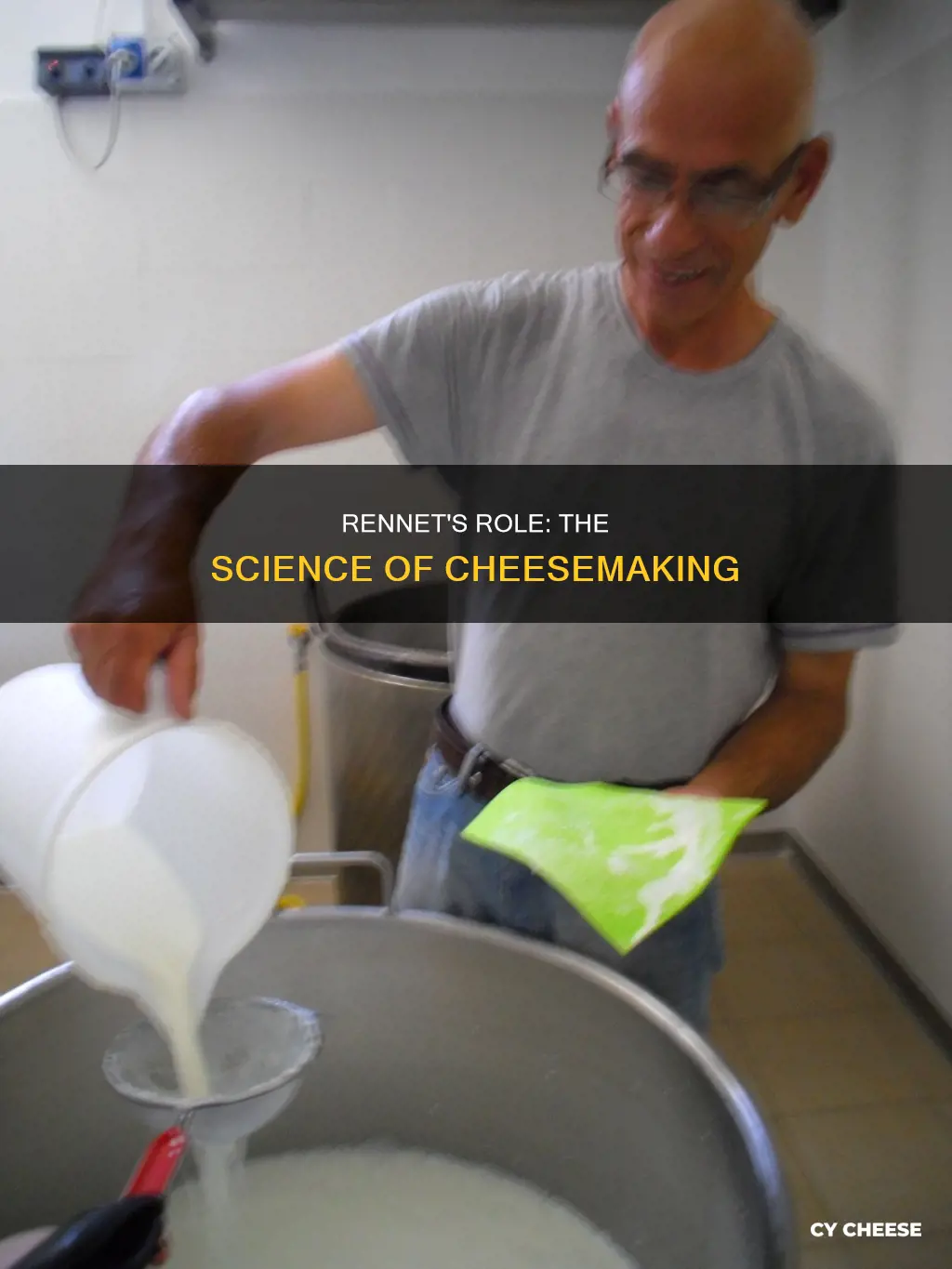 how is the enzyme rennet used to make cheese