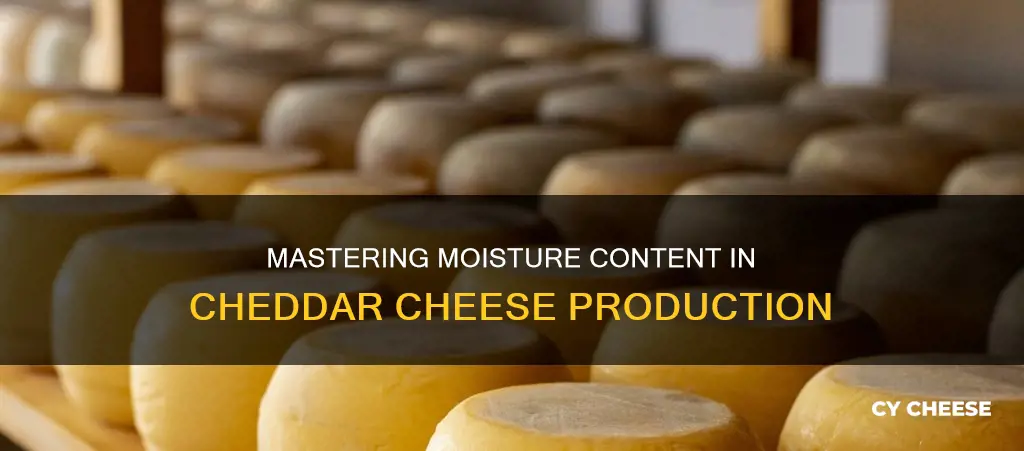 how is the final moisture content controlled in cheddar cheese