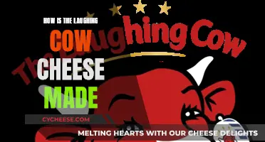 The Laughing Cow: Behind the Scenes of Cheese-Making
