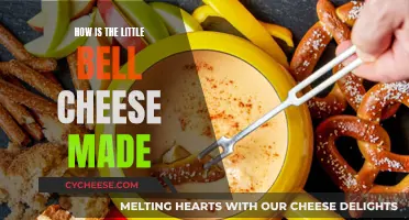 The Little Bell Cheese: A Step-by-Step Guide to Making It