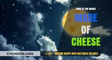 Moon's Composition: Unveiling the Myth of Cheesy Moon