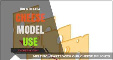 Swiss Cheese Model: Understanding Layered Defences