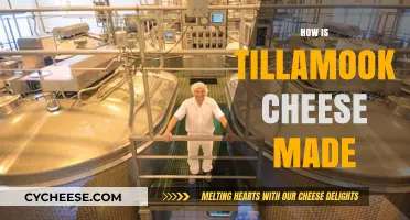 The Art of Tillamook Cheese: A Creamy Journey