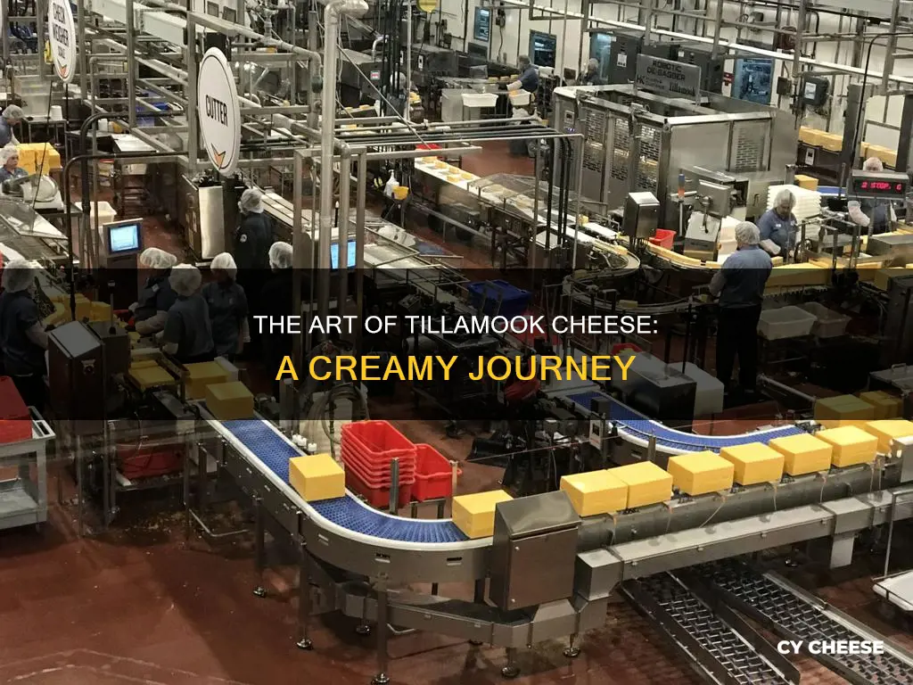 how is tillamook cheese made