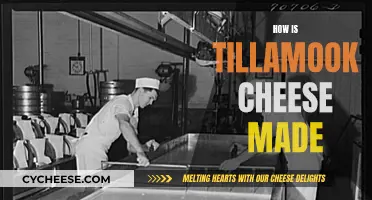 Crafting Tillamook Cheese: A Step-by-Step Guide to Perfection