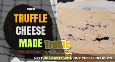 Unveiling the Secrets: A Guide to Truffle Cheese