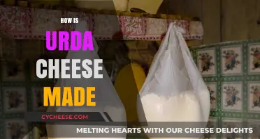 Unveiling the Secrets: A Journey into Urda Cheese's Craftsmanship