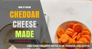 Vegan Cheddar: Unveiling the Plant-Based Cheese Revolution