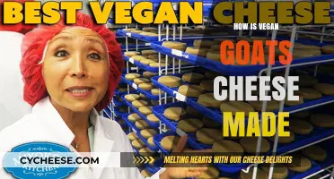 Crafting Vegan Goat's Cheese: A Plant-Based Adventure