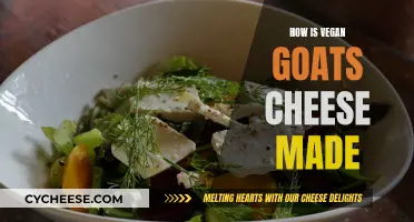 Vegan Goats Cheese: How is it Made?