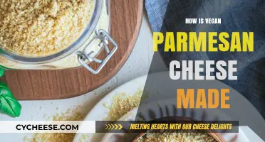 Vegan Parmesan: Unveiling the Plant-Based Cheese Alternative