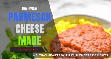 Vegan Parmesan Cheese: A Step-by-Step Guide to Making It