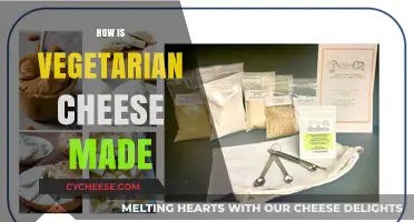 Unveiling the Secrets: Crafting Plant-Based Cheese Delicacies