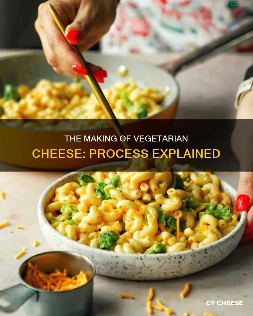 how is vegetarian cheese made