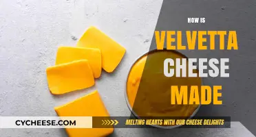 Velvety Delight: Unveiling the Art of Crafting Creamy Velvetta Cheese