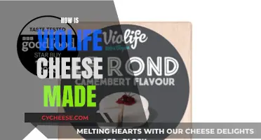 Violife Cheese: How is it Made?