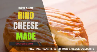 Unveiling the Art of Washed Rind Cheese: A Delicate Process