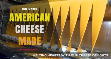 Unveiling the Secrets: Crafting White American Cheese