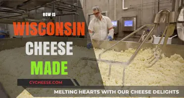 The Art of Wisconsin Cheese: A Delicious Journey