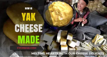 Unveiling the Secrets: A Journey into Yak Cheese Craftsmanship