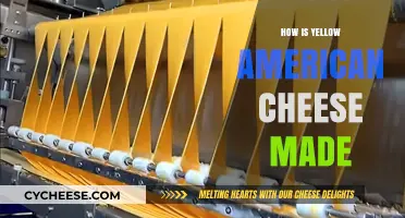 The Golden Process: Crafting Yellow American Cheese