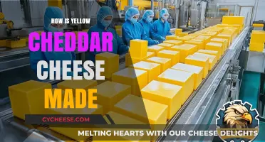 The Art of Crafting Golden Cheddar: A Cheesy Journey