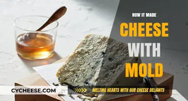 The Art of Moldy Magic: How Cheese Got Its Groove