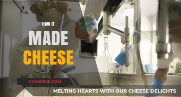 The Art of Cheesemaking: Unveiling the Secrets Behind the Perfect Curd