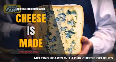 The Art of Italian Gorgonzola: A Cheesy Journey