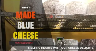 Unveiling the Secrets: A Journey into Blue Cheese's Blue Veins