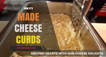 The Art of Cheesemaking: Unveiling the Process of Cheese Curds