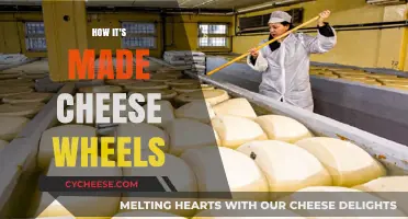 Unveiling the Art of Cheese Wheel Craftsmanship