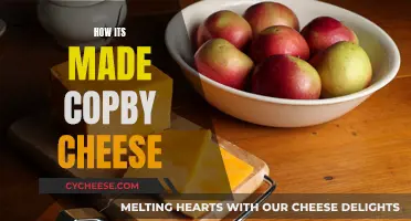 Crafting Copy Cheese: An Artisanal Guide to Deliciousness