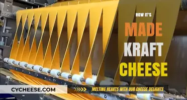 Unveiling Kraft's Secret: A Journey into the Cheese-Making Process