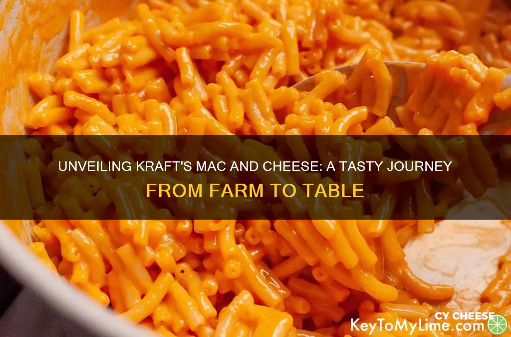 how its made kraft macaroni and cheese