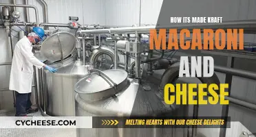 Kraft Macaroni and Cheese: A Behind-the-Scenes Look