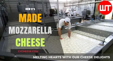 Unveiling Mozzarella's Magic: A Journey from Cow to Cheese