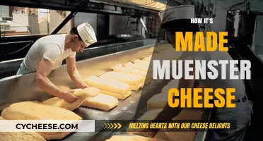 Muenster Cheese: Unveiling the Secrets of its Cheesy Delight